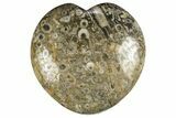 Fossil Crinoid Stems In Marble Heart #311927-1